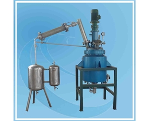 100L Reactor with condenser