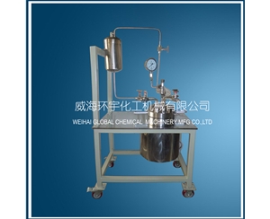Stainless Steel High Pressure Reactor with Feeding Tank